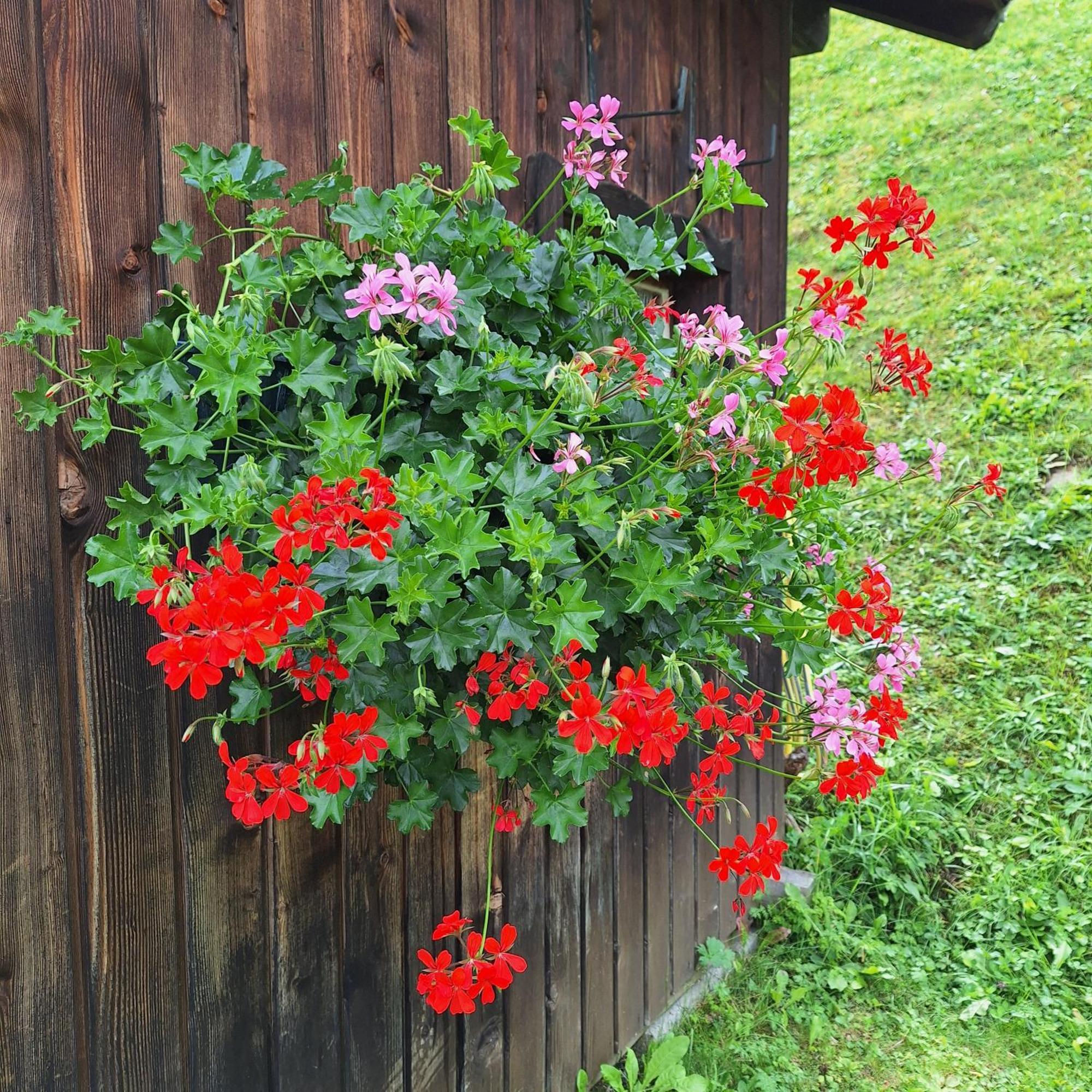 Apartment Romana Selva di Val Gardena Esterno foto